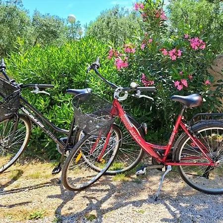 Apartmán Stelle Baska *